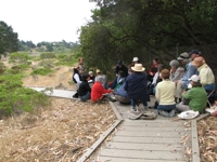 San Francisco Lessingia Restoration at Lobos Dunes, Presidio